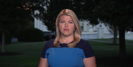 As pressure for tougher gun control laws is growing after the massacres in Dayton and El Paso, Republican Senate leader Mitch McConnell says lawmakers will work on a bi-partisan agreement in September. <a href="/KJohnsonTV/">Katherine Johnson</a> reports. THU0366