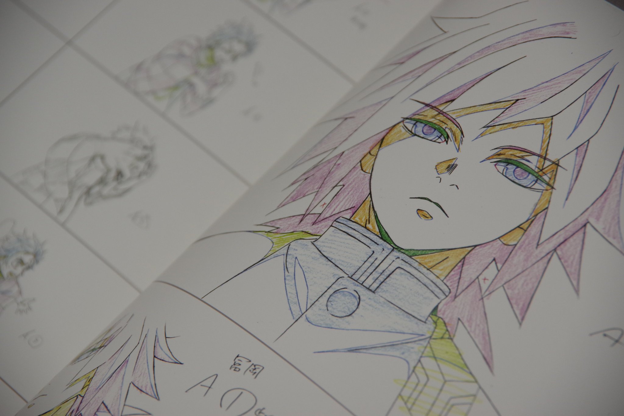 爆売り 鬼滅の刃 アニメーション原画集 兄妹の絆 原画集 ランキング受賞
