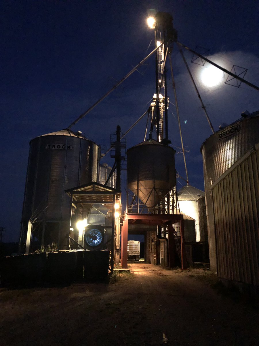 KentuckyAF's tweet photo. First night drying under the lights this year! #affinityfarms #harvest19 #plant19 https://t.co/DtINqWhz06