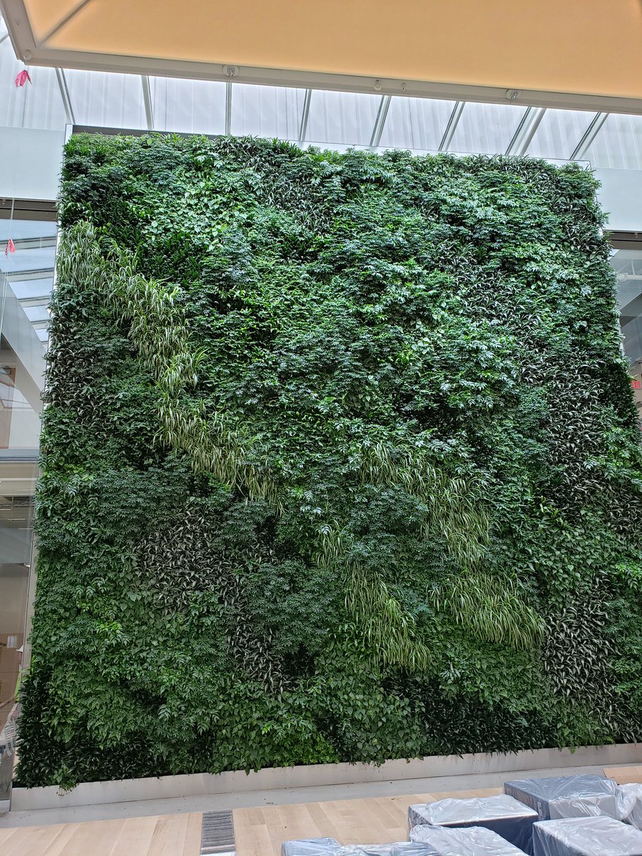 kimselle's tweet photo. Tour of the new Weil Hall on campus today as part of our yearly training.  This wall of live plants was really neat.  The building is a great new space for students in Sam Fox School of Design &amp; Fine Arts. #campusnext #washu https://t.co/ZOZDd1502I