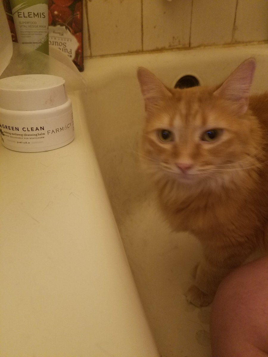PMurdercat's tweet photo. I waited until the water was gone because I am not a moron. Still don't get it. I don't know how this will help your beauty. Conclusion: humans are still stupid #dailyprayers https://t.co/OVlraBhRRc