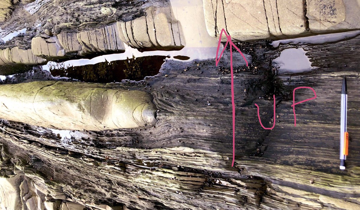 Same rocks as in QT, rotated with an UP arrow. The outcrop is mostly thin flat layers of a darker brown-yellow rock, but it has a thick raised yellow layer from the left that extends halfway before pinching out. Another solid raised bed crosses completely at the top, but it’s boring.
