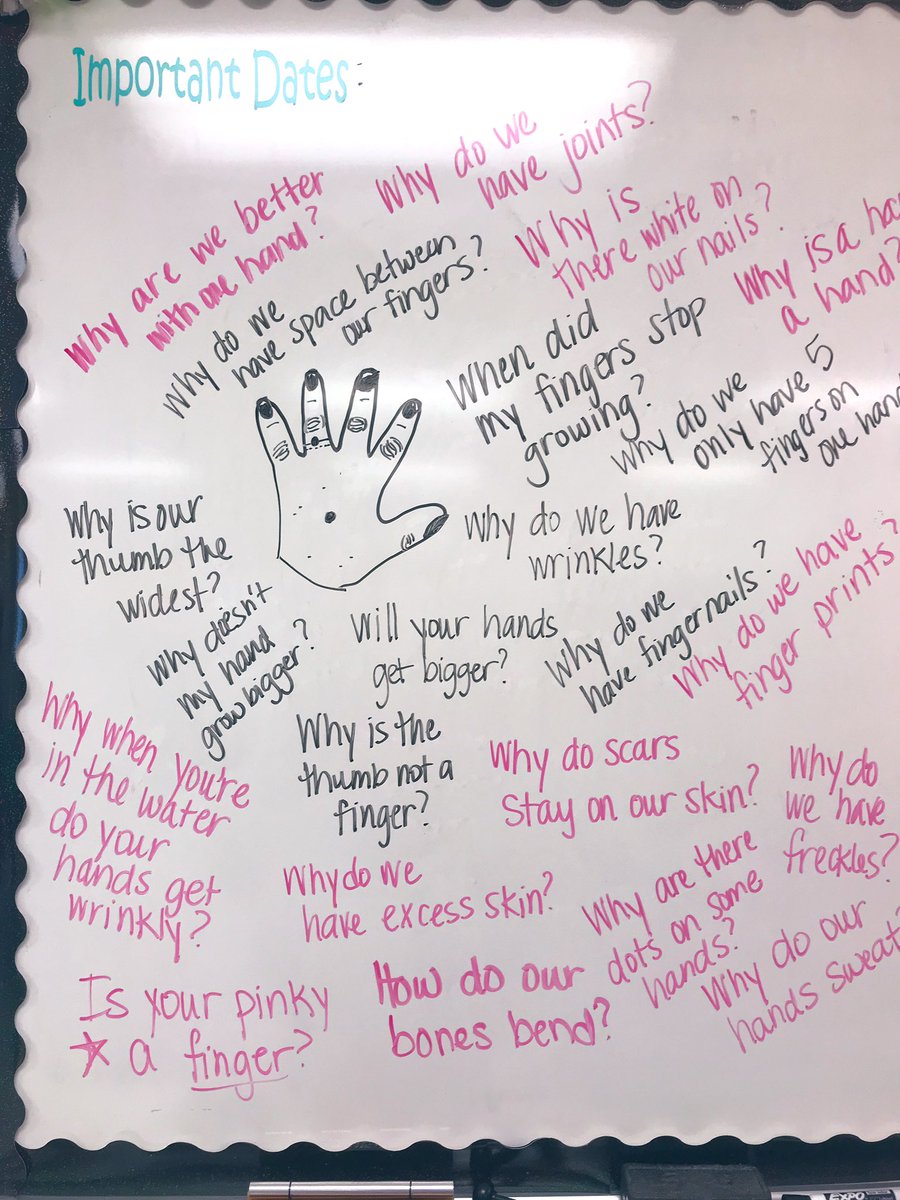 MrsBell_ELE's tweet photo. Getting a start on Science this year with @MysterySci ! I loved how this lesson focused on what scientists essentially do: wonder! #staycurious #iteachscience #EagleNation https://t.co/zPm2fAvBAt