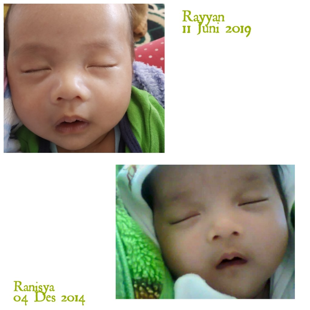 Rieznha Hallina (@rhallina) on Twitter photo 