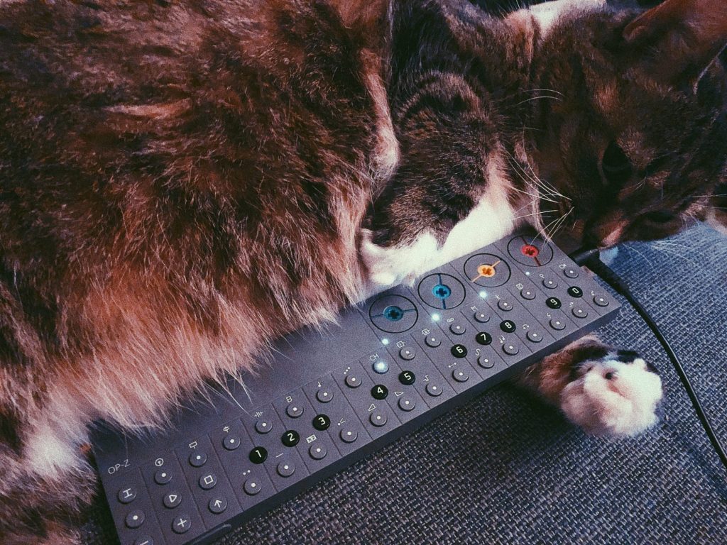 For the last couple of months I've been creating a whole bunch of beats and tracks on Teenage Engineering hardware. Here are 15 of them. christopherbolte.com/15-new-bolt-vi…