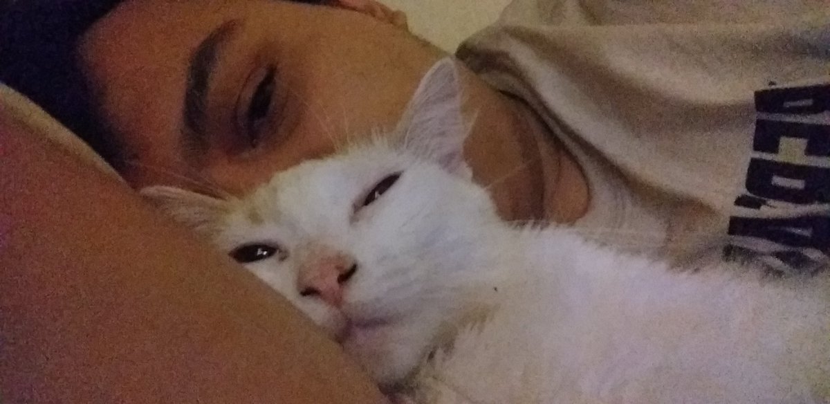 bbemma1312's tweet photo. shleep tiem,,,y,all https://t.co/QqNX5bKkDH
