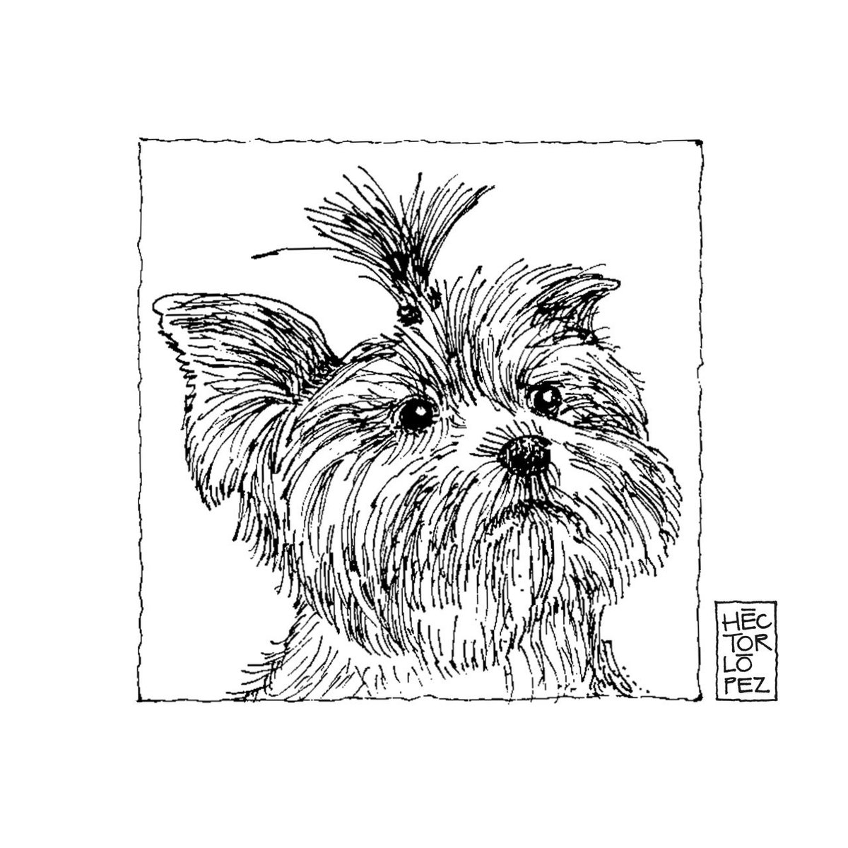 _thearchitector's tweet photo. Hoy me invitaron a @ArchDailyMX a hablar de mi trabajo y a darle un mini curso de dibujo al equipo, yo les llevé libretas @Laika_Notebooks con dibujitos personalizados:

01. Un retrato de Shelby para mi @vanevielma. https://t.co/sWA2r8RPcy