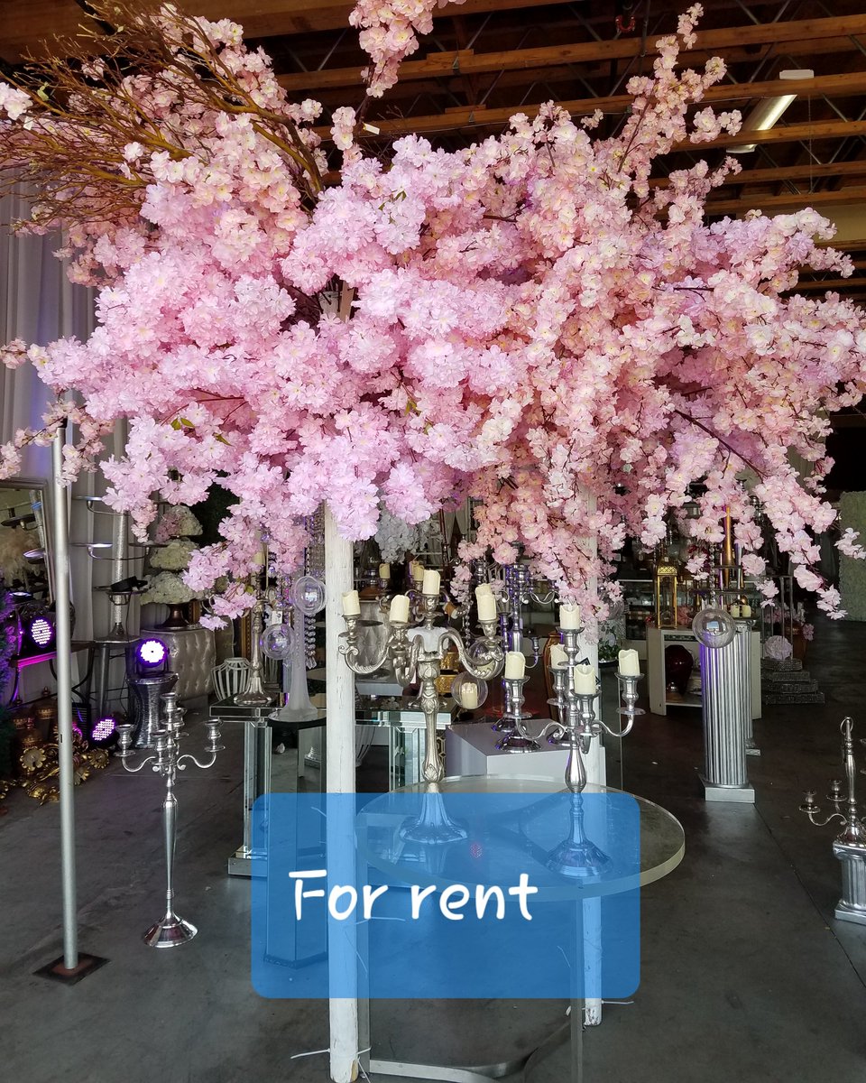 rodriguezimport's tweet photo. Hey when is your Wedding?
#weddinginspiration #theoscars2019 #bridalworld #brideseats https://t.co/Abc55mGHSV