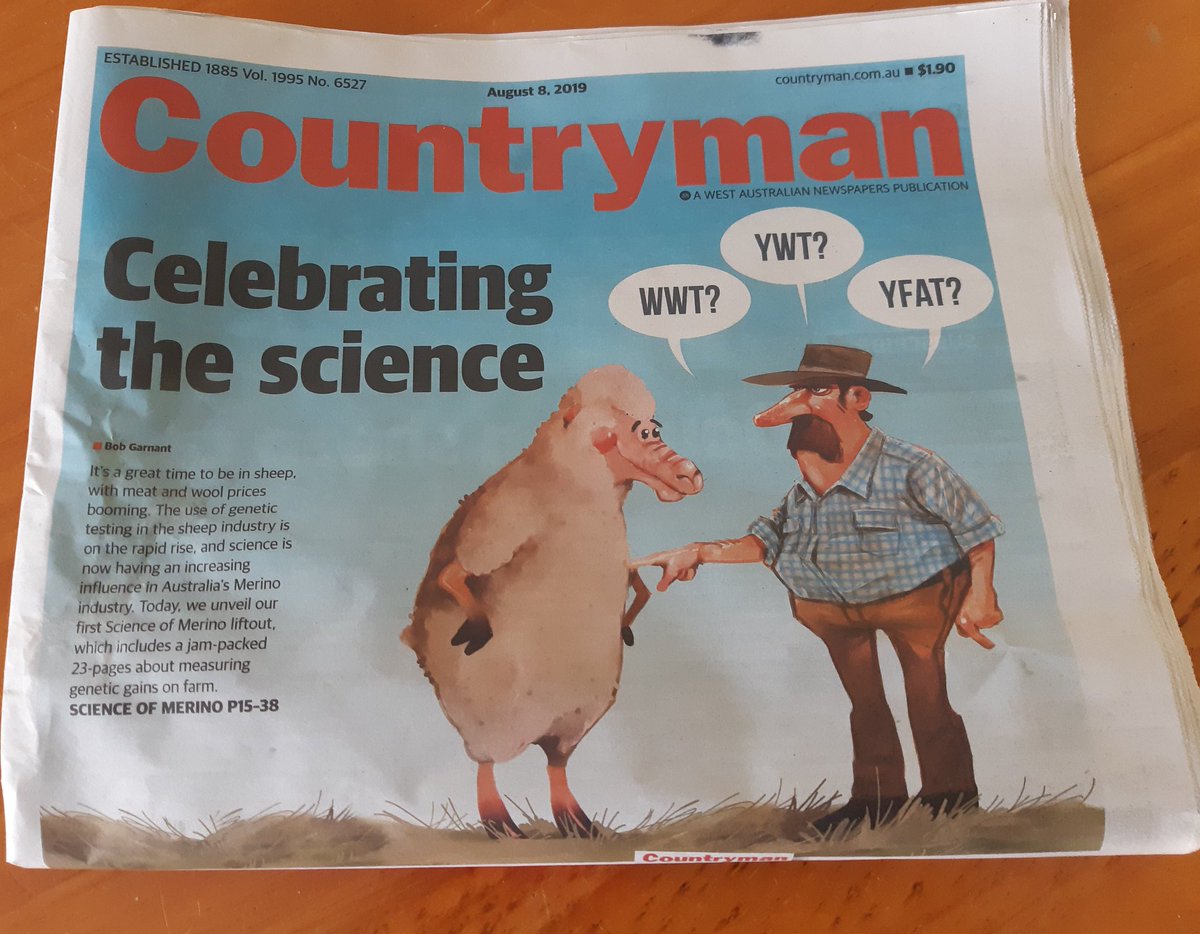 ThomasPengilly's tweet photo. I have not bought a newspaper in a long time! Maybe there needs to be more headlines like this more often? #sheepscience #Countryman https://t.co/B2xFBJhB0T