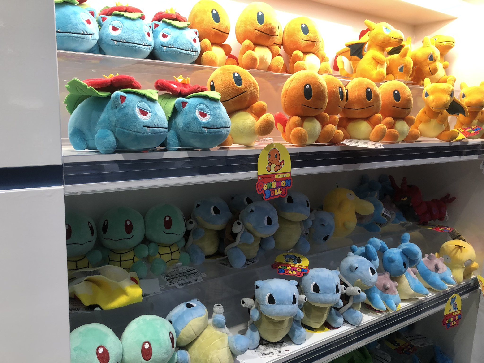 Iron Auf Twitter 新しいフシギダネグッズを買うぞー 買う ぞ T Co 0ykjgvh48i Twitter