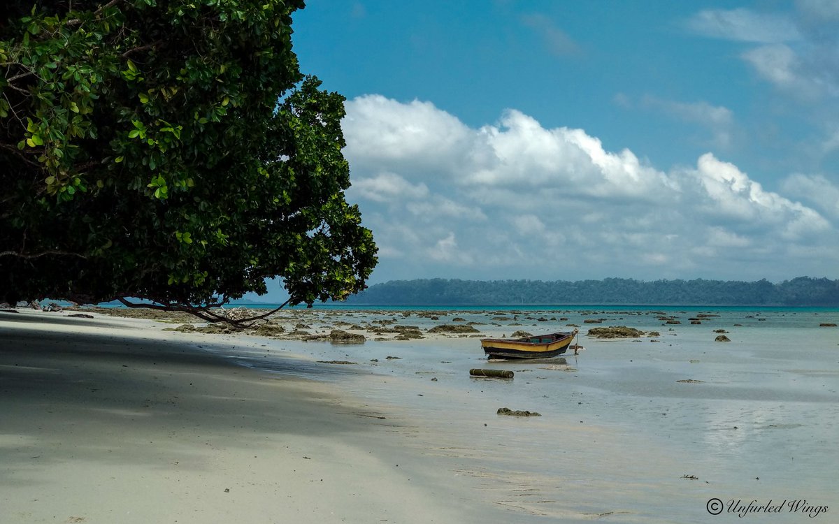 UnfurledW's tweet photo. [New Blog] fourth installment of Andaman  series... it's all about #Havelock
Check it out: https://t.co/HHNeNqq3dh

#India #travel #travelbloggers #andaman #Island #beach #adventure #scuba #kayaking #IncredibleIndia #ttot #travelphotography #stories https://t.co/eBytDuF56d