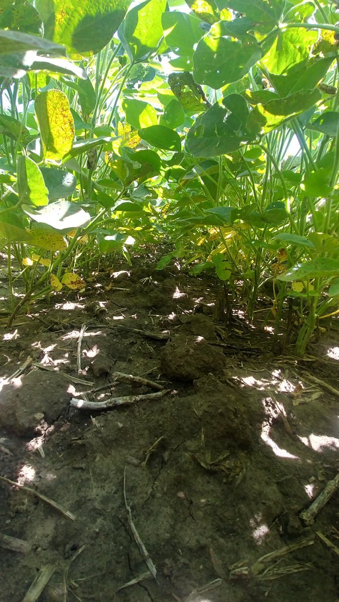 Lindsey Berg tweet media