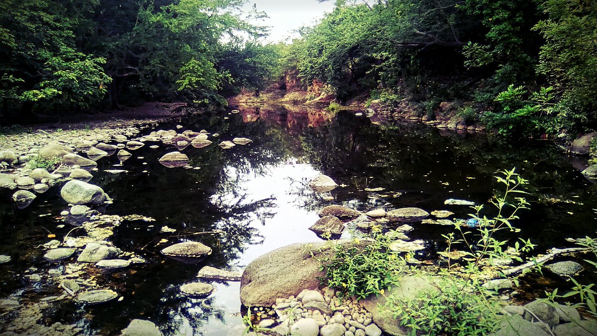 fers3rker's tweet photo. A bit of Tipitapa / Un pedazo de Tipitapa
#Managua #Nicaragua 
#River #OldRiver #Nature
#Rio #RioViejo #Naturaleza
https://t.co/v0CUmtHEI4 https://t.co/ZiR6twq7jh