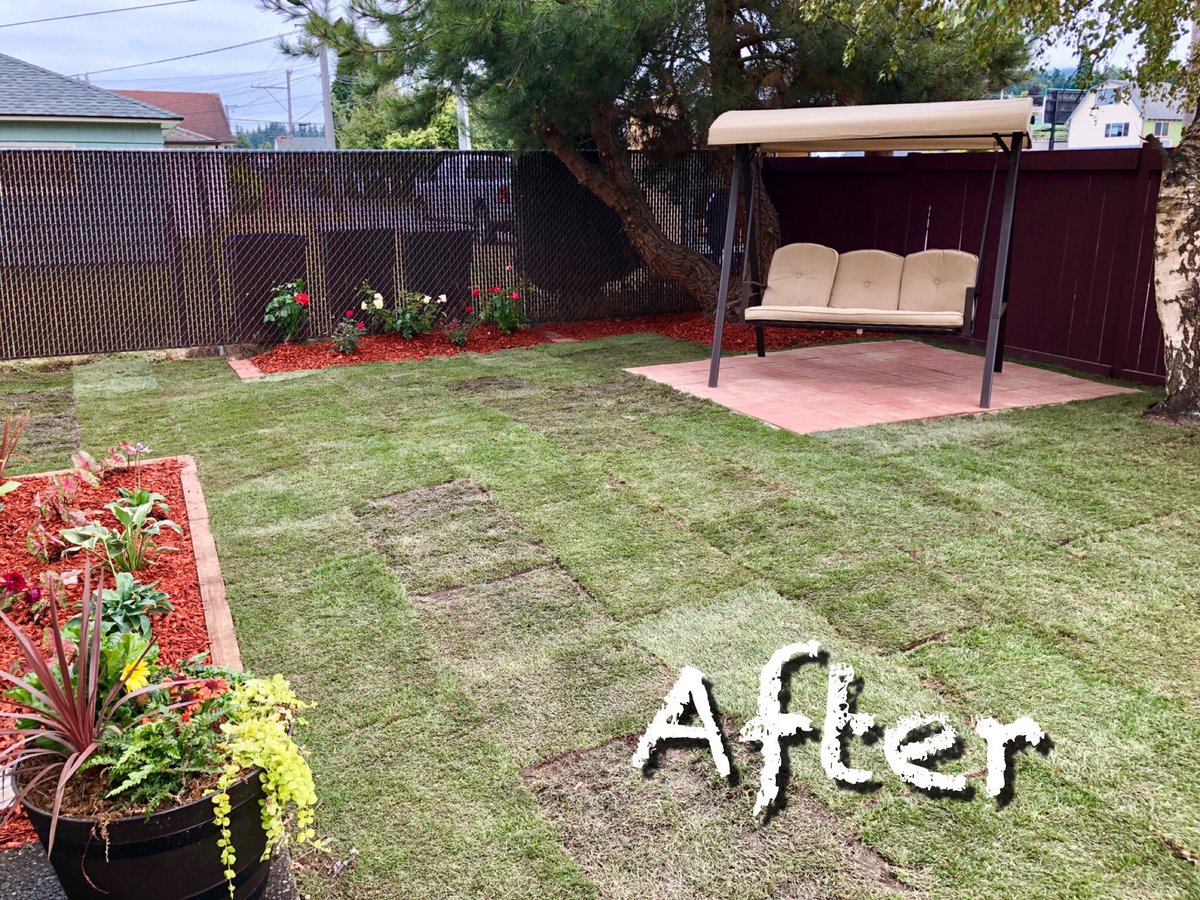 Dawn Hiatt tweet media