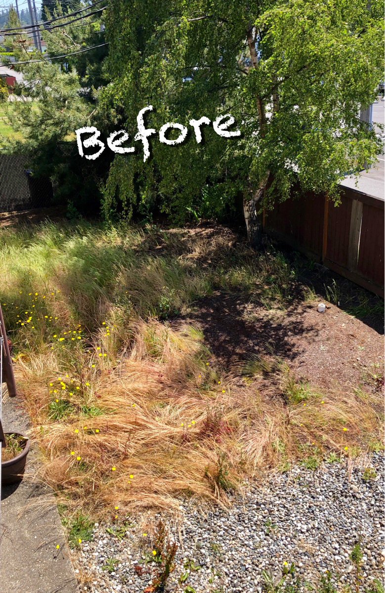 Dawn Hiatt tweet media