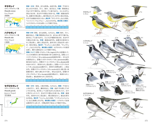 文一総合出版 公式 新刊発売中 つ 657種すべて描き下ろし 日本 国内で約30年ぶりに刊行された新しい日本のイラスト野鳥識別図鑑 日本で記録のある野鳥657種 外来種22種も含む をイラストで紹介 水谷高英 叶内拓哉 フィールド図鑑