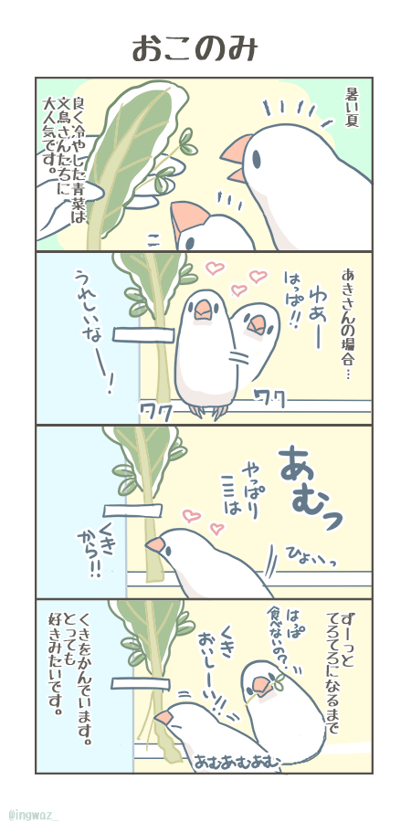 おこのみ。文鳥さんそれぞれに、好みの食べ方があるみたいです。

#buncho #javasparrow #文鳥 