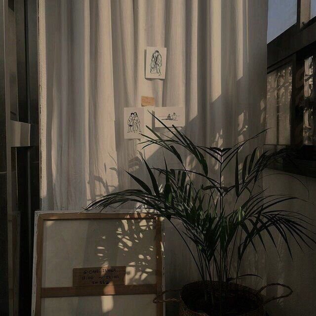 jkhngx's tweet photo. 🔗𝚝𝚑𝚛𝚎𝚊𝚍 𝚘𝚏 𝚖𝚢 𝚊𝚞🔗 https://t.co/2togw8e4Dj