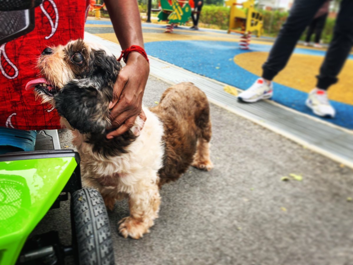 Kellie Tedjo tweet media