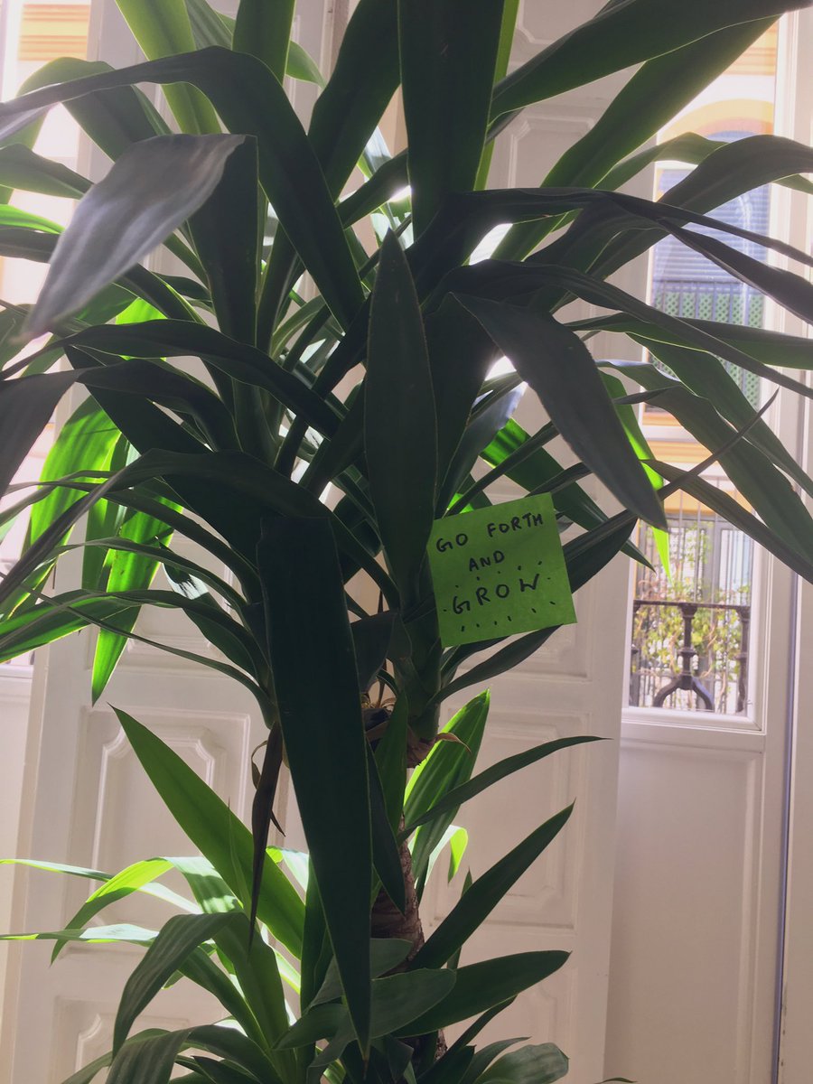 proverbproject's tweet image. Go forth and grow #plantproverb