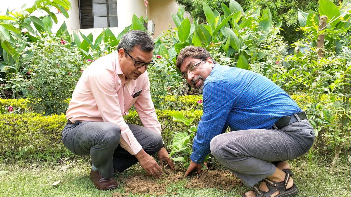 uphssp's tweet photo. Uttar pradesh Health system strenthening project(UPHSSP) staff Lucknow also participated in the plantation drive initiated by the hon Chief Minister Shri Yogi Aadtiyanath ji. https://t.co/6cUfWVnN15