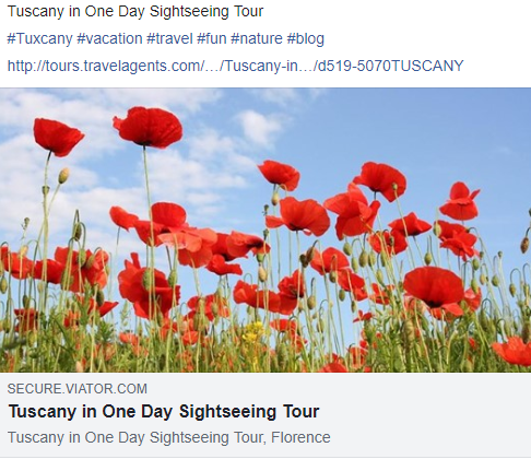 TravelAgentscom's tweet photo. Tuscany in One Day Sightseeing Tour

#Tuxcany #vacation #travel #fun #nature #blog

https://t.co/RaGzTyU3JN https://t.co/Olyx3rTcmU