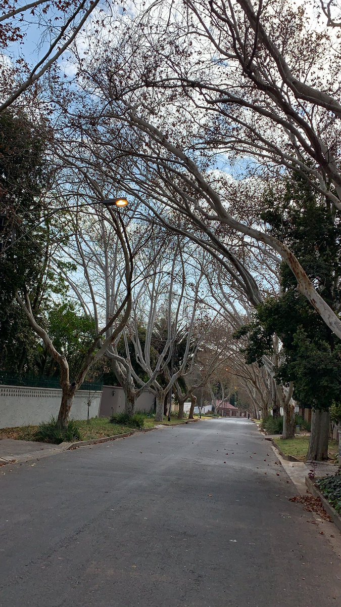 Jace6499's tweet photo. Lights on at 10:30 am. Winslow Rd, parktown north.    @CityofJoburgZA @CityPowerJhb https://t.co/d3KoaKy8re