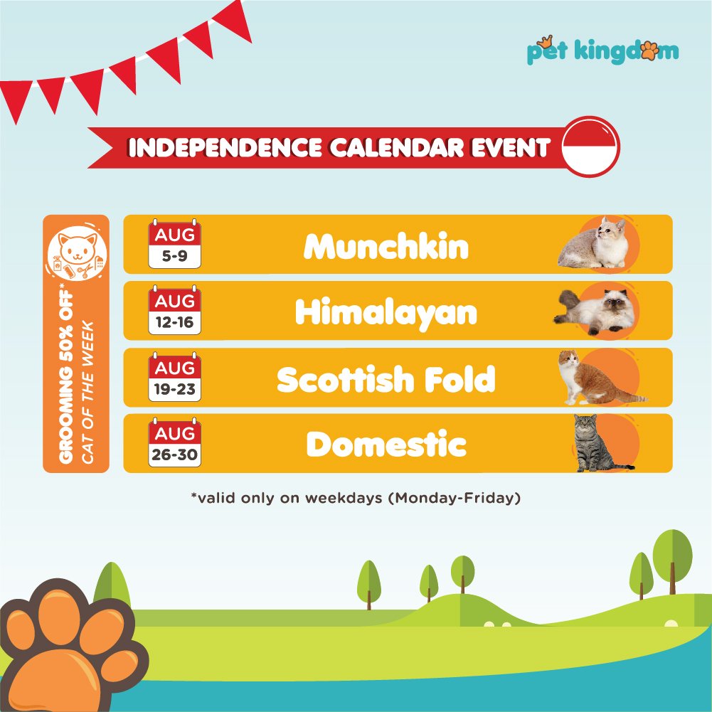 Untuk semua pemilik jenis kucing Munchkin, Himalayan, Scottish Fold, dan Domestic; catat ya periode mendapatkan diskon 50% untuk grooming kucing kamu.

Berlaku sesuai tanggal tertera, dari Senin sampai Jumat :)
