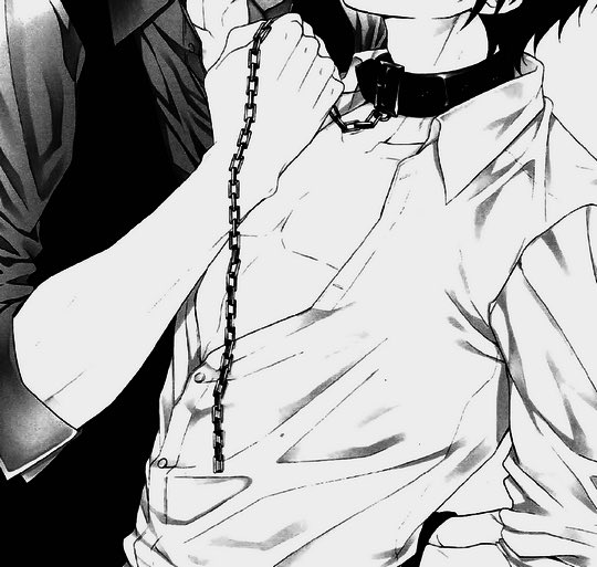 satanscharm's tweet image. my collared mutt &amp;lt;3