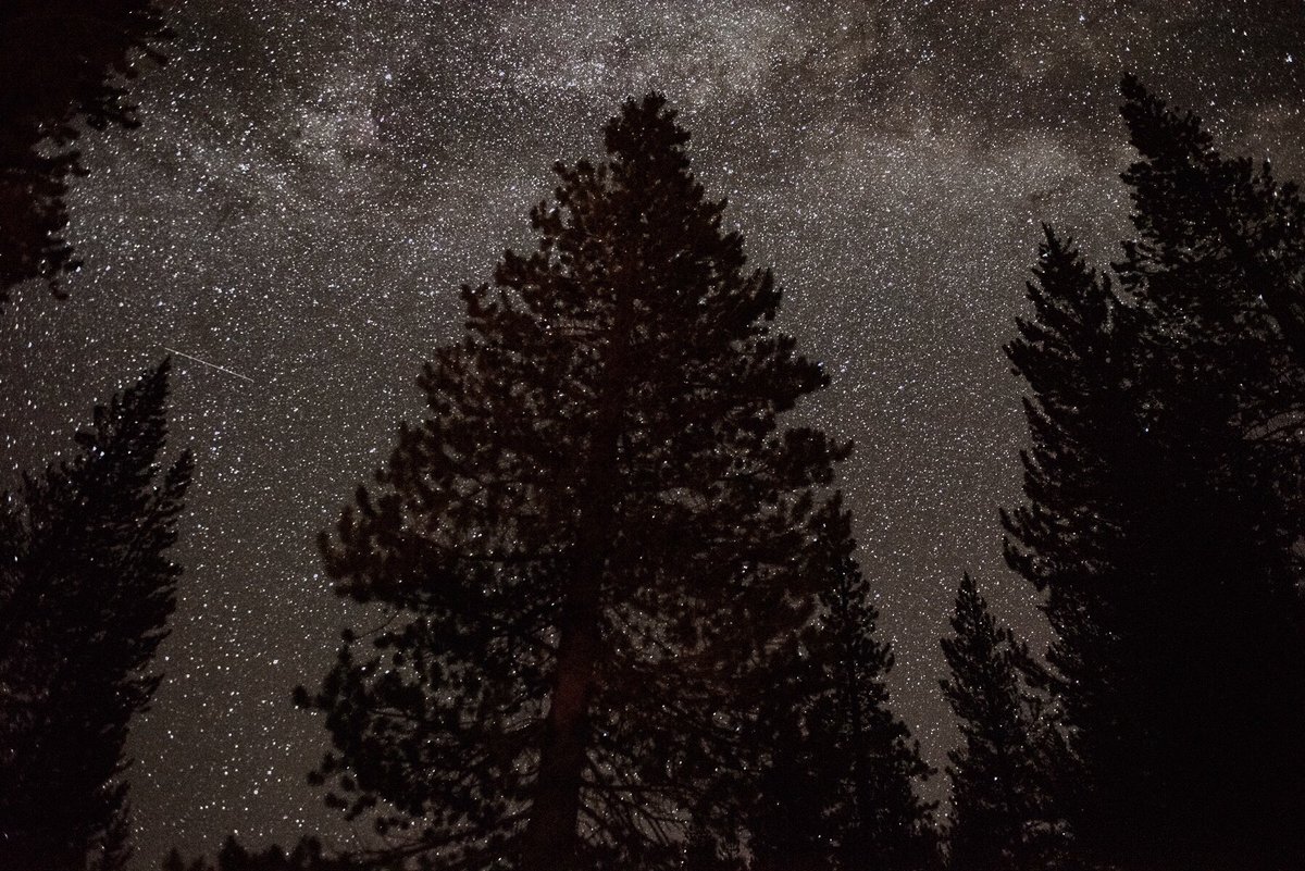 jaymsramirez's tweet photo. Sierras This week... #travel #campwork #outside https://t.co/GHuV3jJJR2