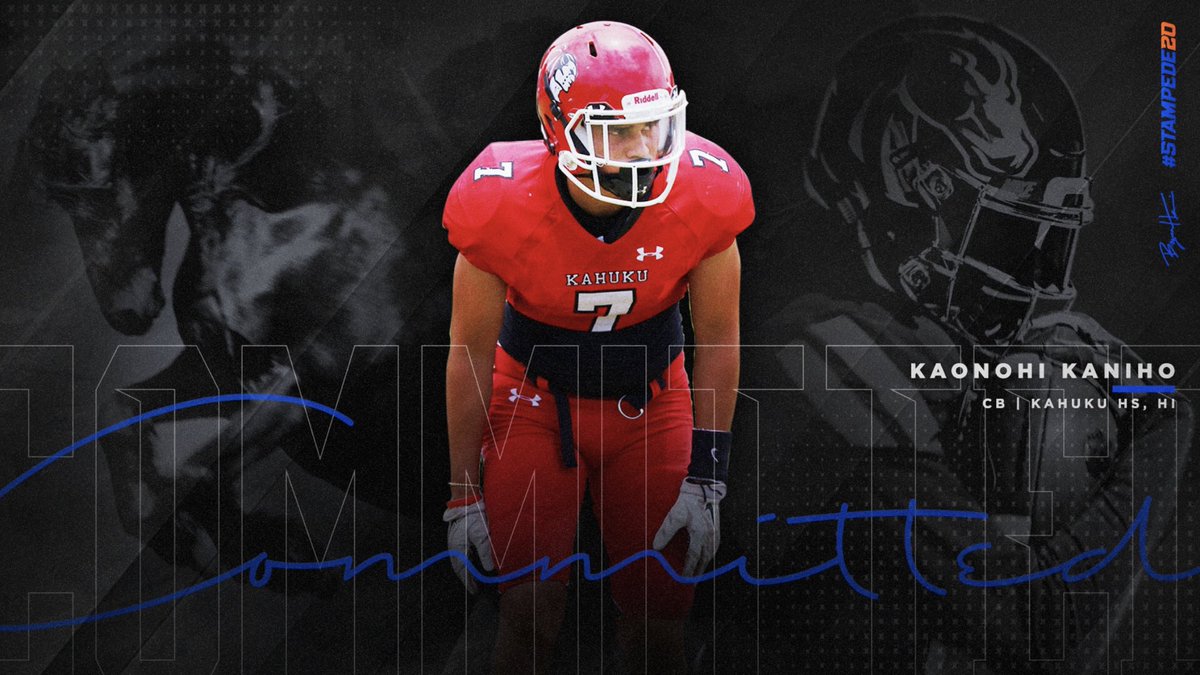 kaonohikaniho's tweet photo. •Committed ❗️#BleedBlue🔷 https://t.co/EqpYA25NGU