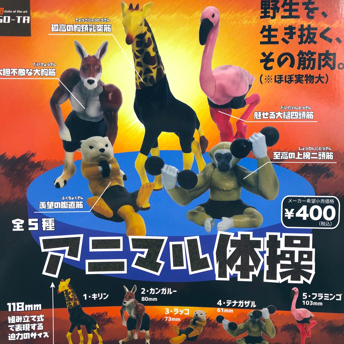 アニマル体操