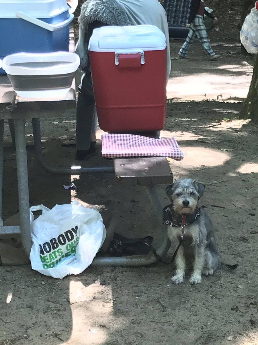 's tweet image. Can we go home now?