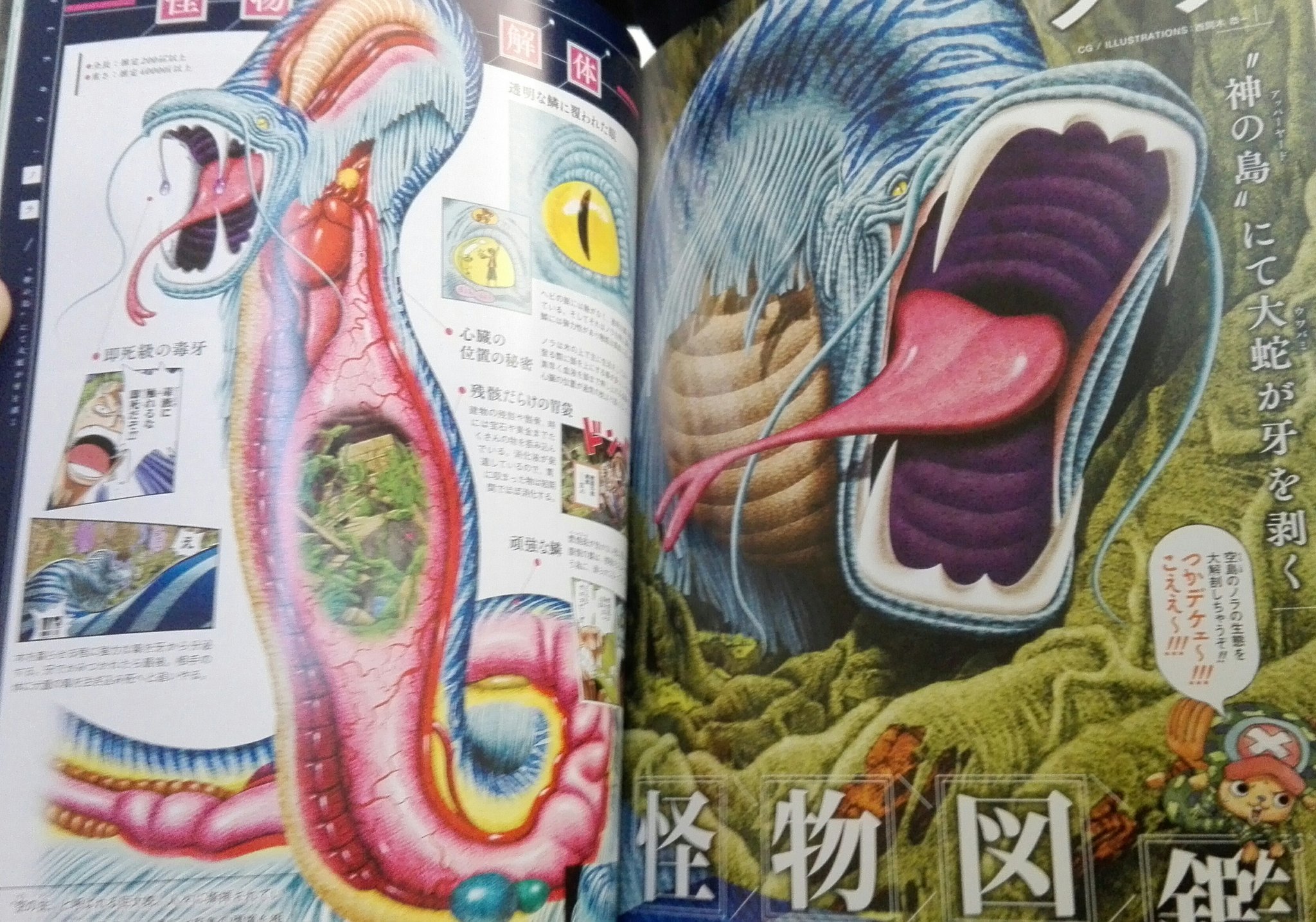One Piece Magazine Page 5
