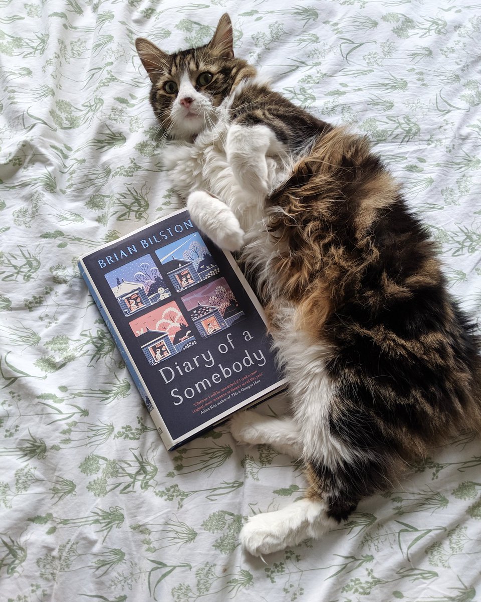 DavidTLowbridge's tweet photo. @MissHTerry Diary of a Somebody @brian_bilston is heads and shoulders above everything else I've read this year. Funny and poignant in equal measure and interspersed with very clever poems. It also has plenty of cat action. https://t.co/xaa6fHDZoy