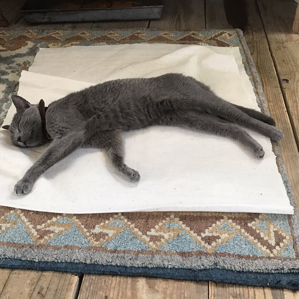 Maya the CAT on Twitter: "見事なカーブ。…