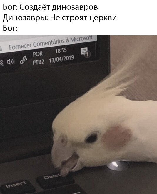 EBgYXVJW4AEuCZg?format=jpg&name=small