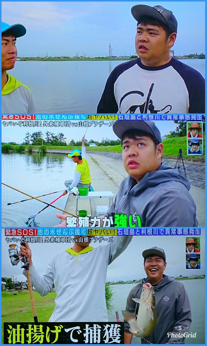 平田修太 Pa Twitter コチラはちょっと前の 緊急sos池の水全部抜く より 同じく怪魚ハンター兄弟 平田修太 Pa Twitter コチラはちょっと前の 緊急sos池の水全部抜く より 同じく怪魚ハンター兄弟