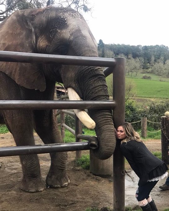 In case anyone wanted to know, this is the happiest I’ve ever been in life?? https://t.co/RozCiPhtmf