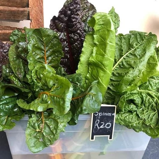 PerfectPlaceCN's tweet photo. #Marketday: baked today: #lasagna ( for 1), delicious #pretzels, #milktart, sourdough #bread, #muffins, fresh #flowers, organic #spinach, #waterblommetjie stew, waterblommetjie #soup, #donuts in all flavors and colors, loads of #fudge, #jaffles and delicious #vetkoeke! https://t.co/fxLJCVLJuF
