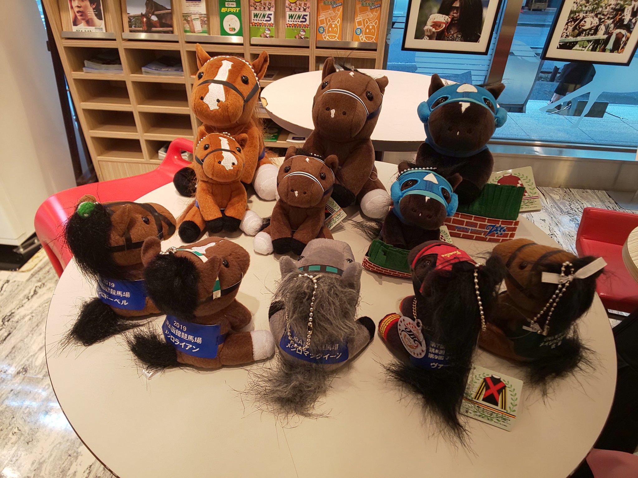 アイドルホースセレクション - Search / X