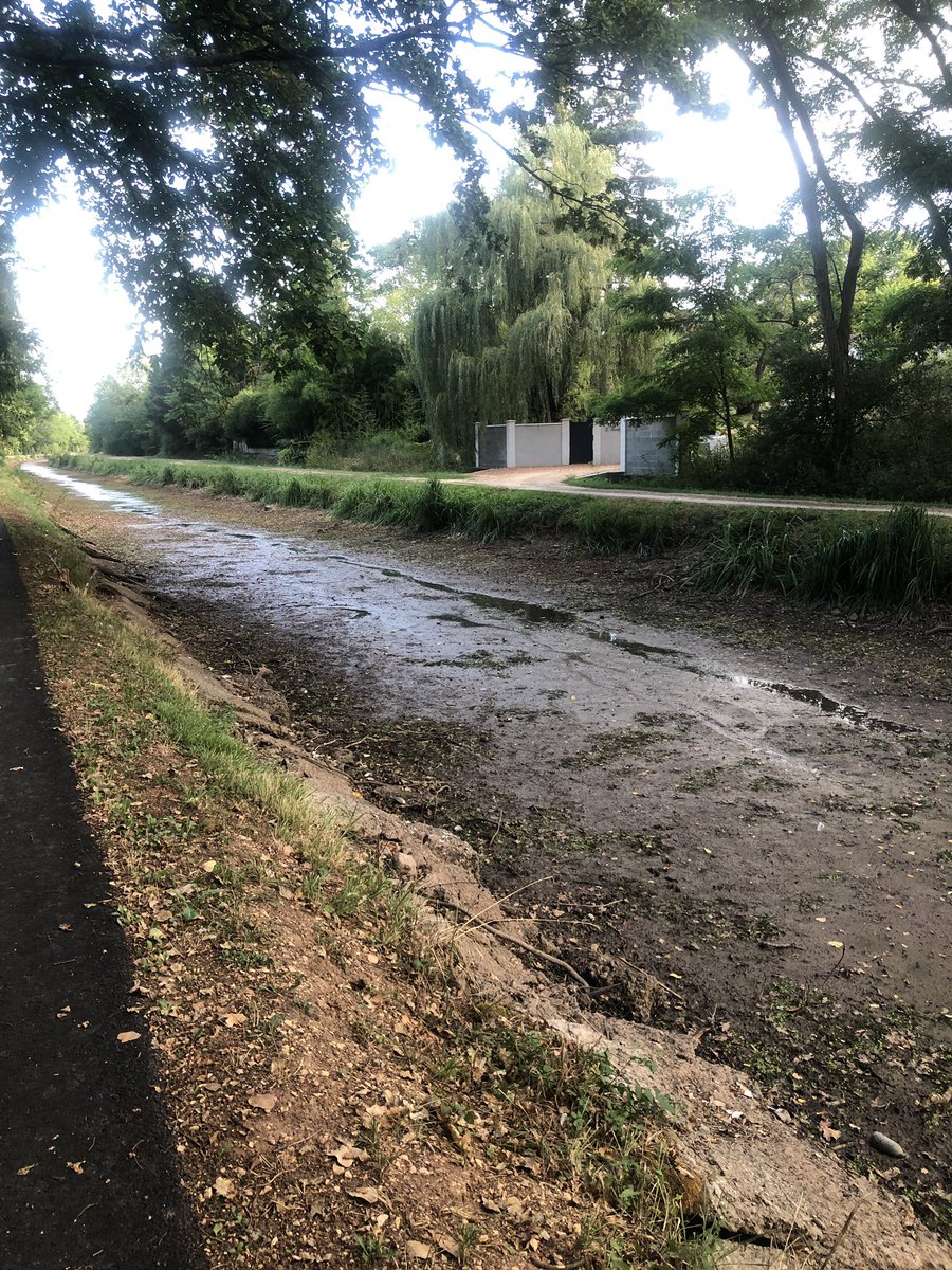 berrichonducher's tweet photo. #été #vacances @alafpolak1 n’a qu’à bien se tenir 😂😂😂 promenade le long de notre #canaldeberry malheureusement à sec à certains endroits comme ici entre #Drevant et @SAM18200 . Mais quel plaisir de voir la nature se réveiller ! @Thierry18200 @alain1878 @CCcoeurdefrance https://t.co/sqpHmU6yom