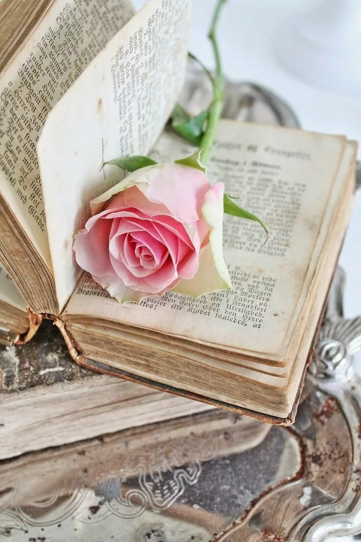 Открытки с днем книголюба, картинки смешные люди