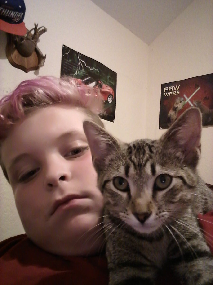 Trev55179724's tweet photo. My cat loves me https://t.co/iOb6TEzWsz