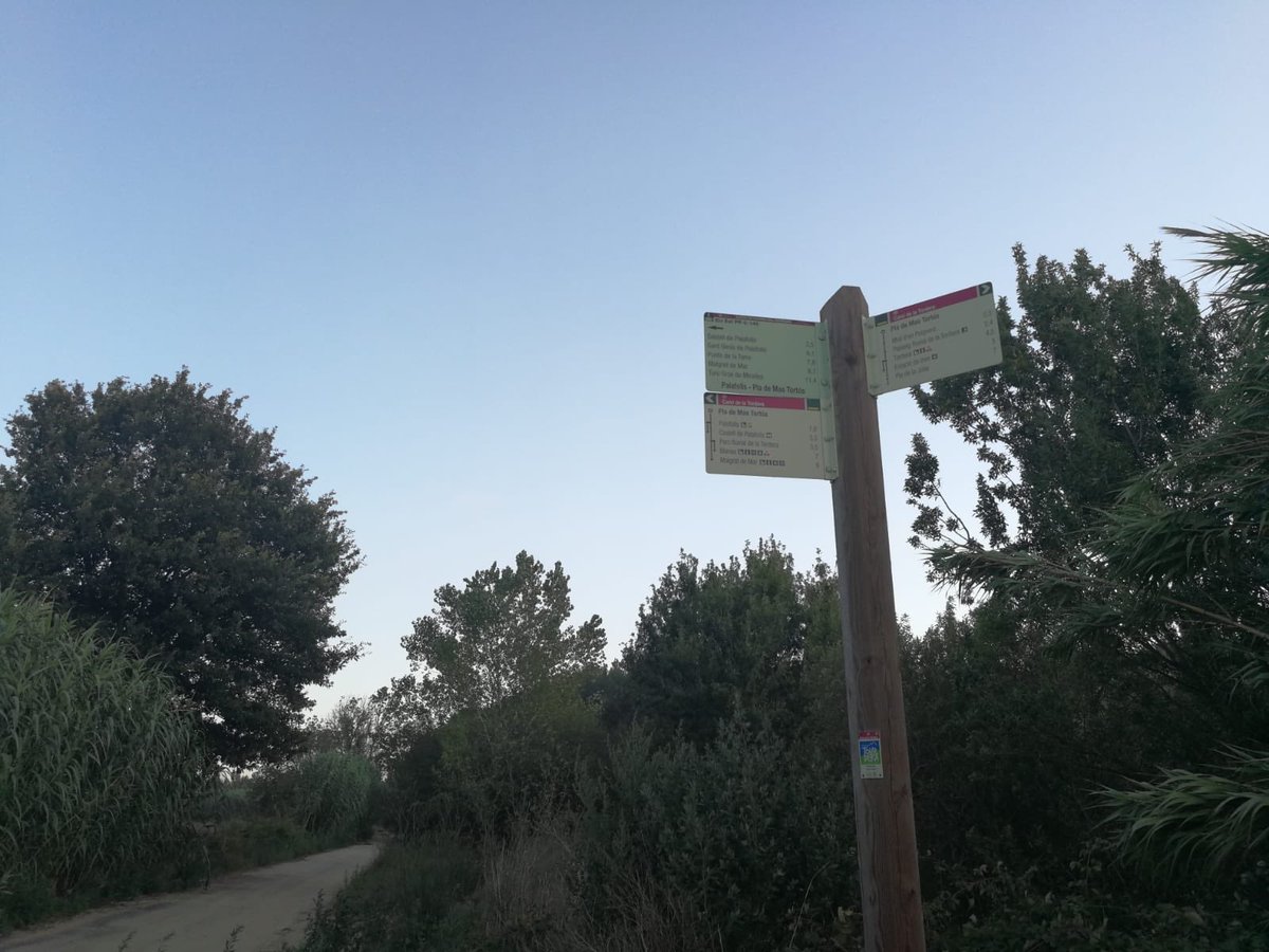 AjuntamentPLF's tweet photo. ☀️Ja tenim aquí un nou cap de setmana i Palafolls compta amb un entorn natural per descobrir en família o fent esport! 📣 Us convidem a conèixer les rutes senyalitzades. Més informació a @tourdera @costabcnmaresme #descobrircatalunya #sensefiltres #catalunyaexperience #viuPLF https://t.co/eyhB0hFZwu