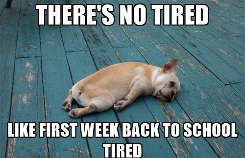 mcdonald_kecia's tweet photo. Of course I am excited, joyful &amp; happy to be back at school again. It's been great! I am loving seeing my students &amp; colleagues. Still working on getting that "Teacher Stamina" back, tho. Anyone else? #TooTiredToTweet #Back2School #RealTalk #808educate #lovemypeople #teacherlife https://t.co/olJjx6Rn2e
