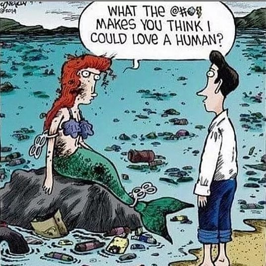 OceanPlastik's tweet photo. Hooman 

#plastic #plastickills #plasticpollution
#plastictrash #cleanup #recycle #preserve #protect #eco #change #changeisyou #oceanplastik #ptagger #rpndex #startup #sustainable #socialimpact #sustainability #cleanplanet https://t.co/OE80ByHfIv