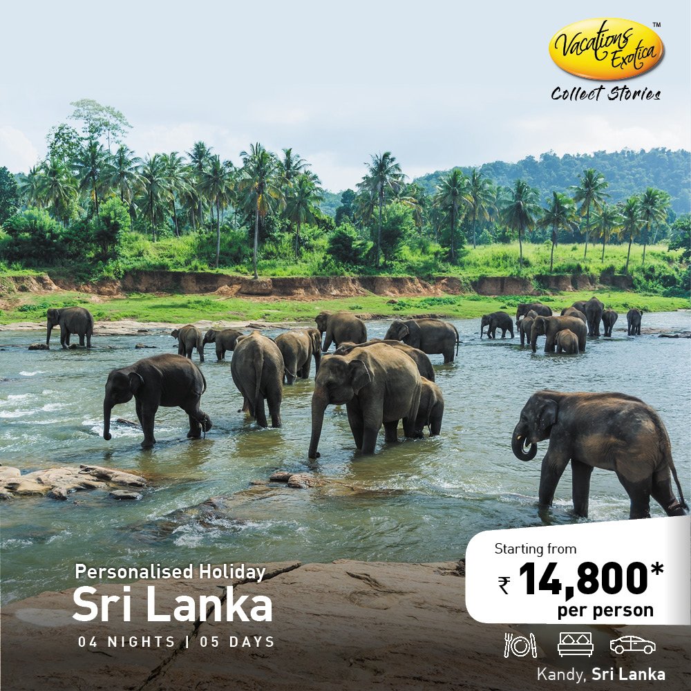 Vacationsve's tweet photo. Isn’t it time for a quick getaway? Here are a few delightful destinations in under INR 20,000! What’s more, you can customize your holidays too, just talk to our travel expert.

Get a Quote: https://t.co/IcprdhvNKY https://t.co/z9b5vPkIq3
