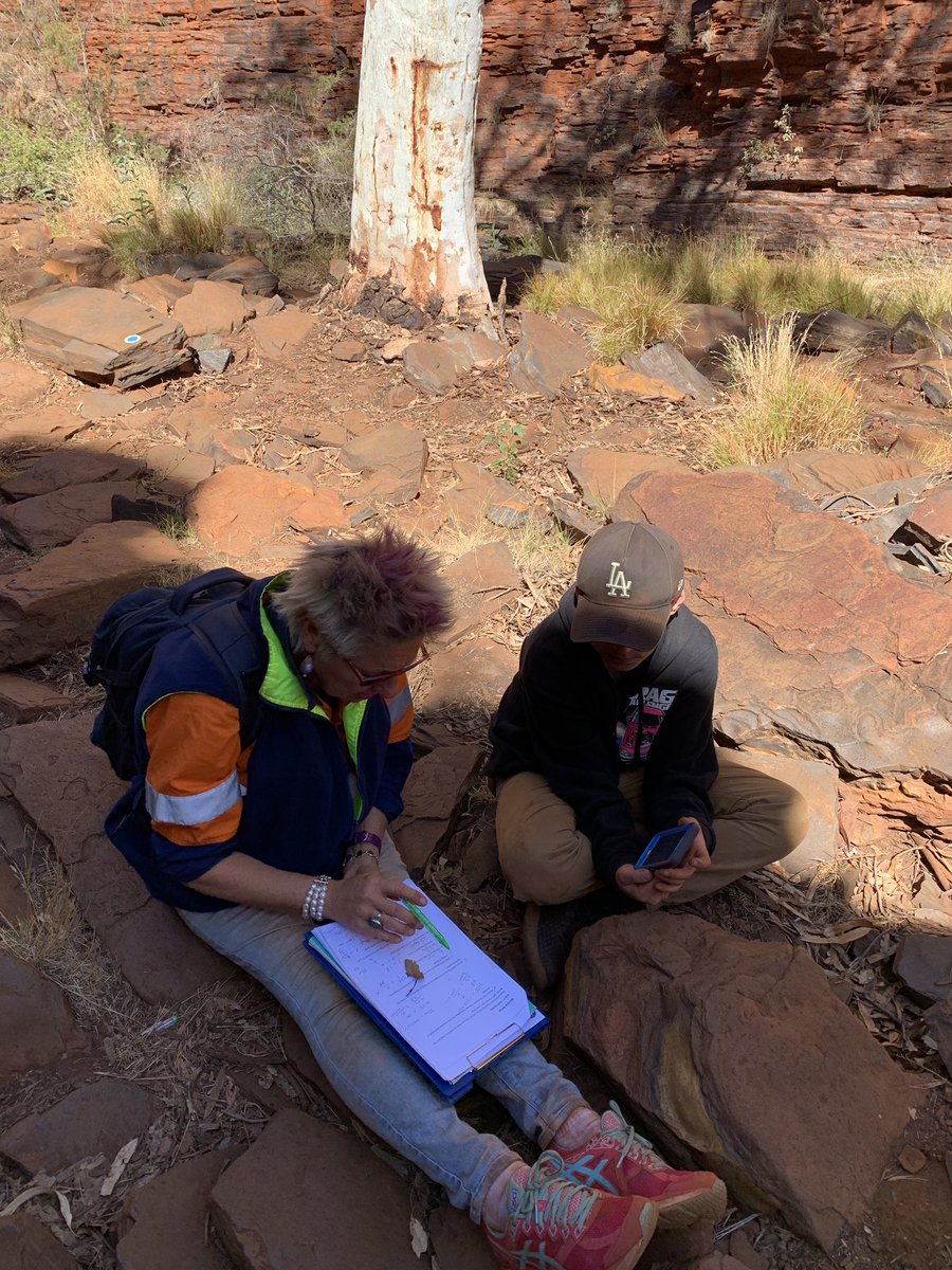 CoRELearnGrow's tweet photo. We are back from #Karijini. Another great #therealclassroom field trip, the first for #TomPriceCoRE year 7s. In their own words โI learned so much in 3 days. It makes sense!โ #STEMLearning #CoRELearningModel https://t.co/RlZOE9cmUk