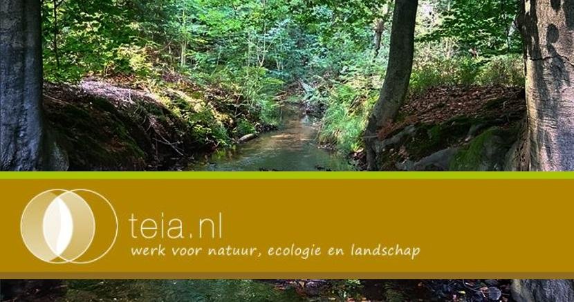 Vrijdag, vacature-dag. We hebben uitdagende groene vacatures bij o.a. <a href="/Waternet/">Waternet</a>, @Natuurmonument en @BugelHajema op onze site staan. Kijk voor het volledige overzicht: teia.nl!